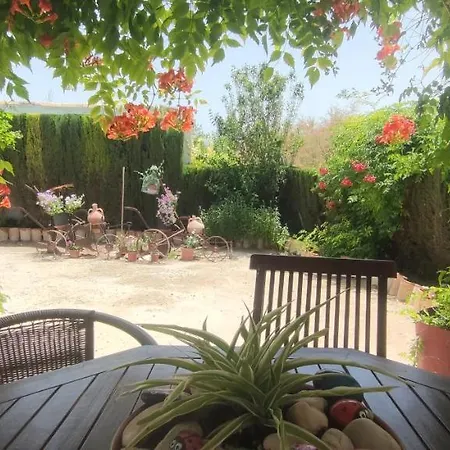 Cueva De La Abuela Ferienhaus